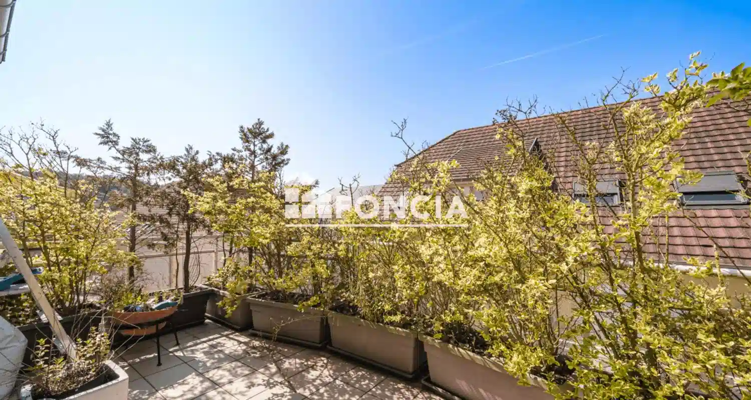 Image d'illustration