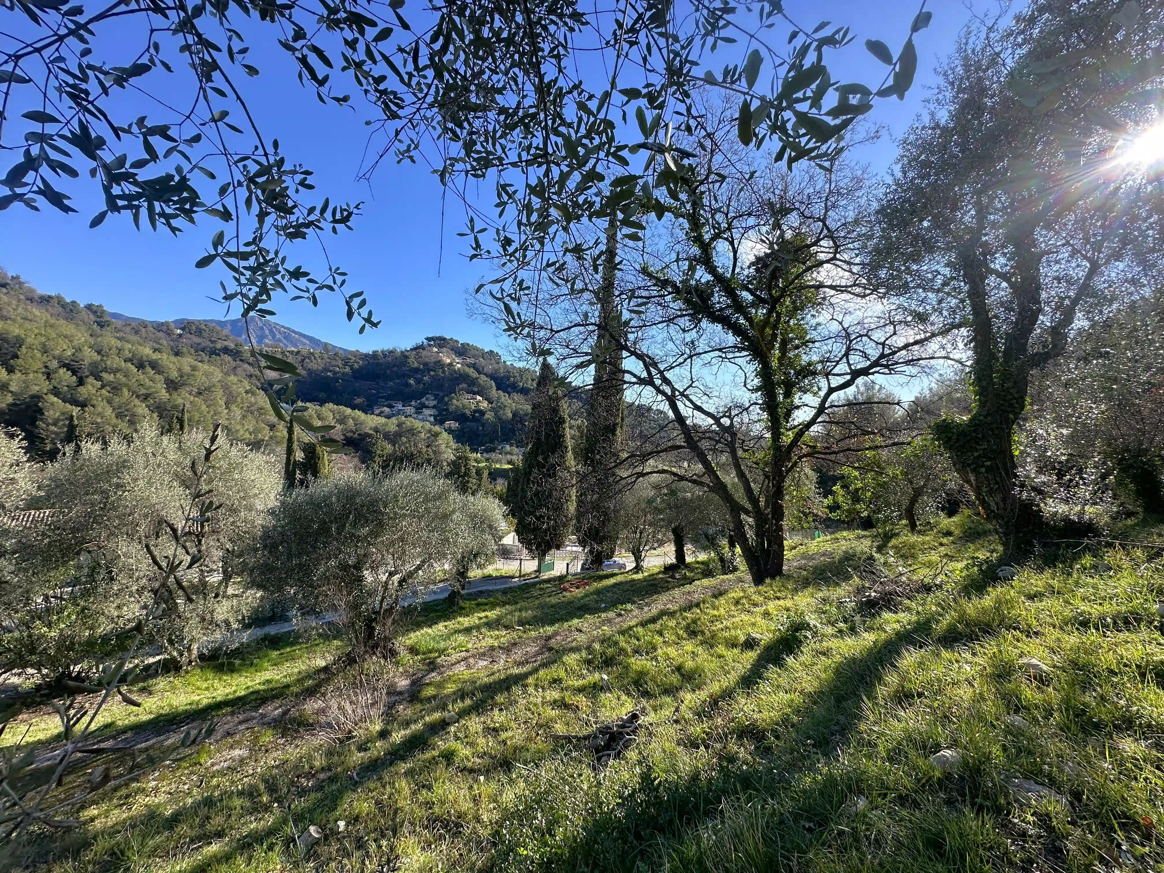 Image d'illustration