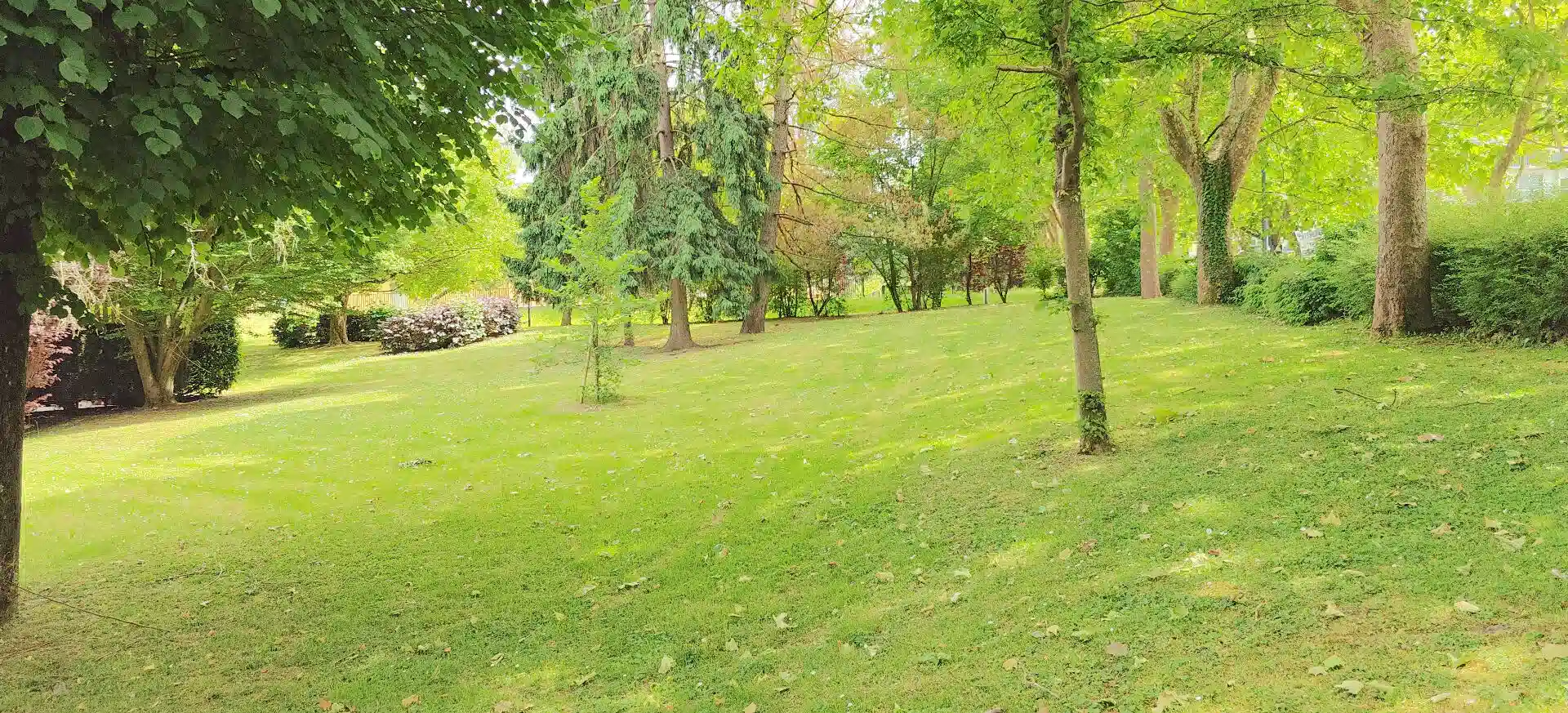 Image d'illustration