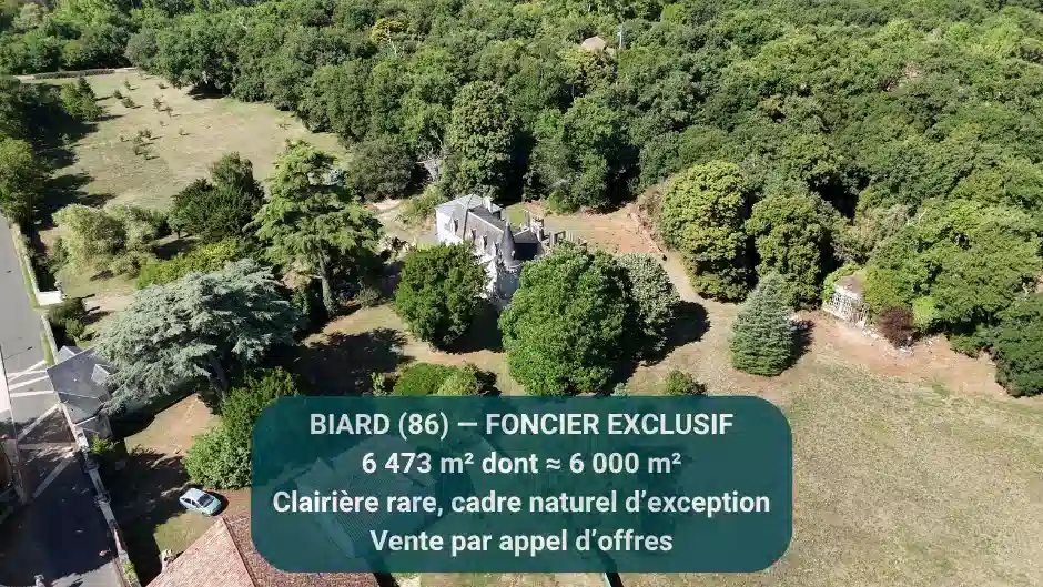 Image d'illustration