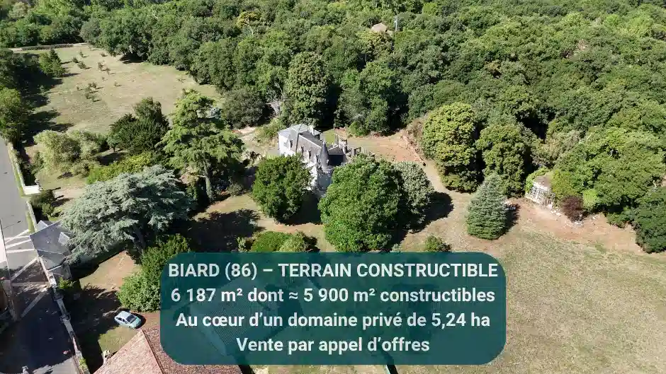 Image d'illustration