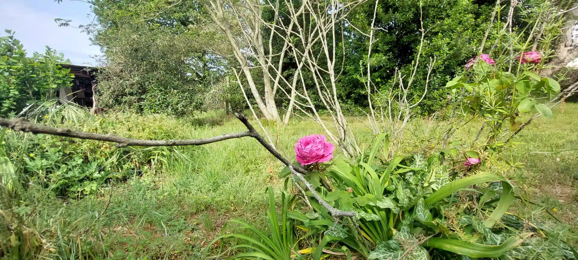 Image d'illustration