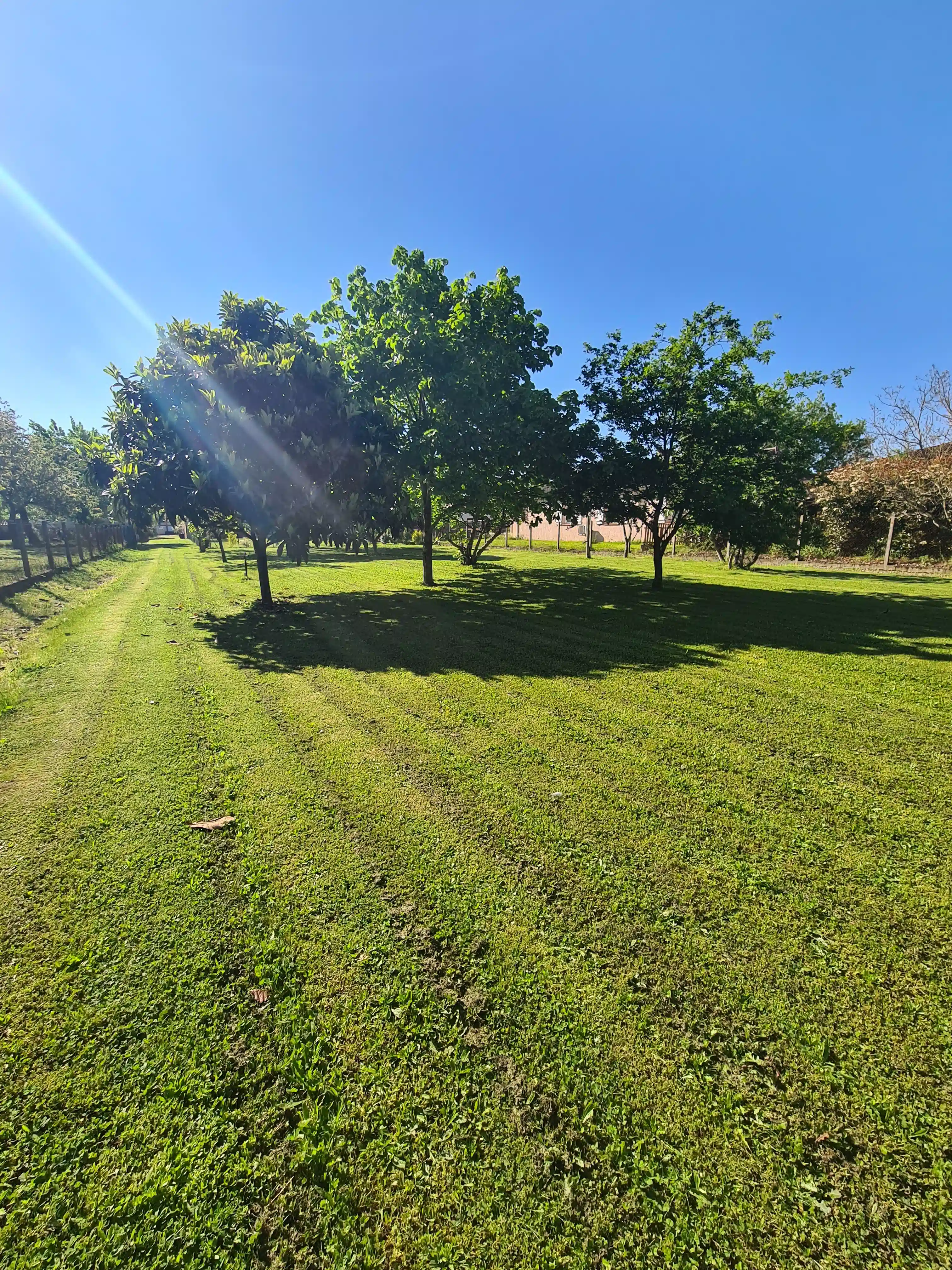 Image d'illustration