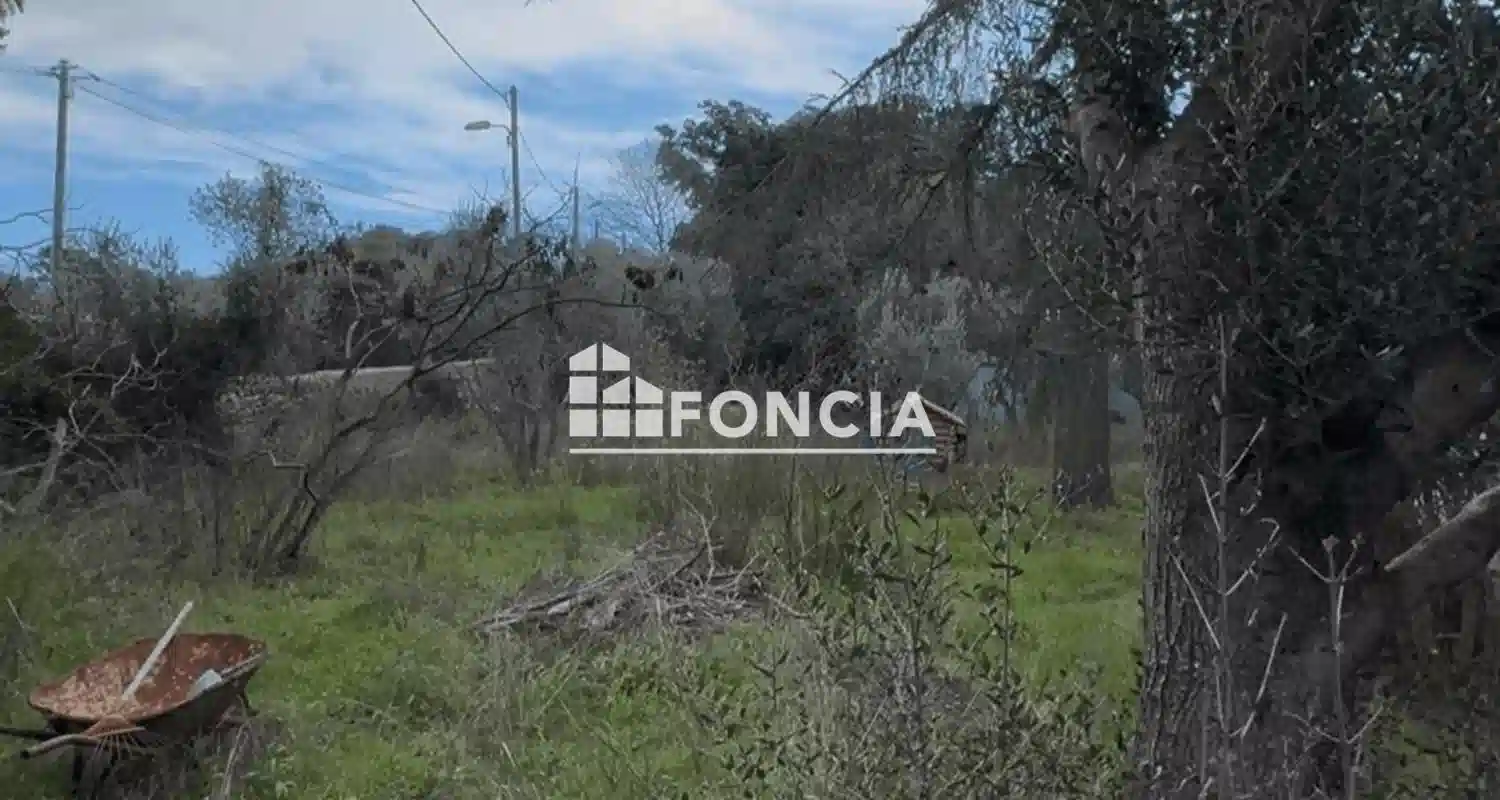 Image d'illustration