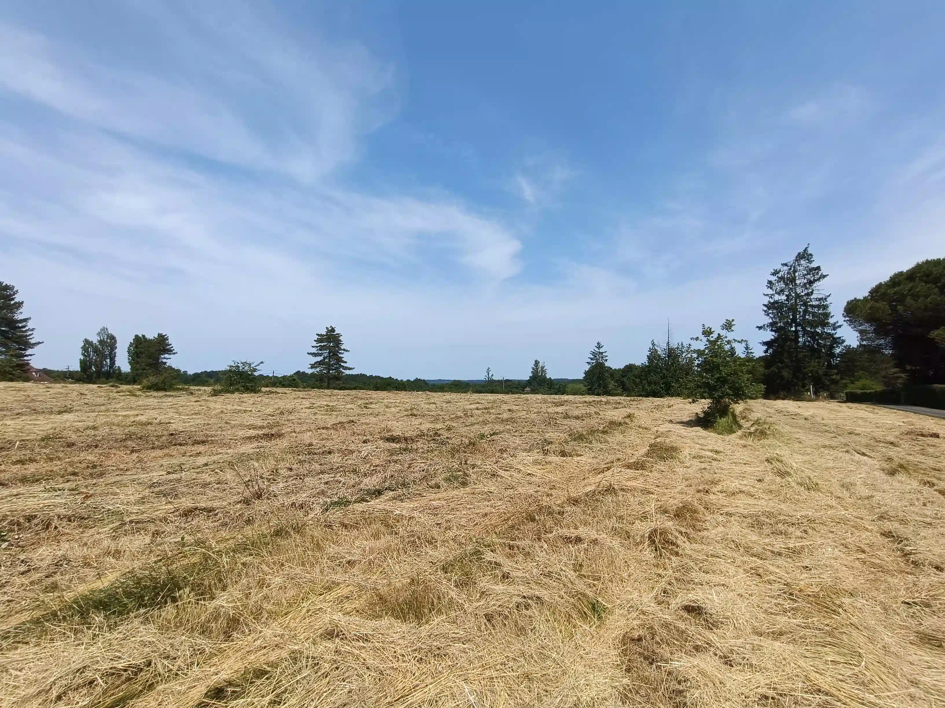 Image d'illustration