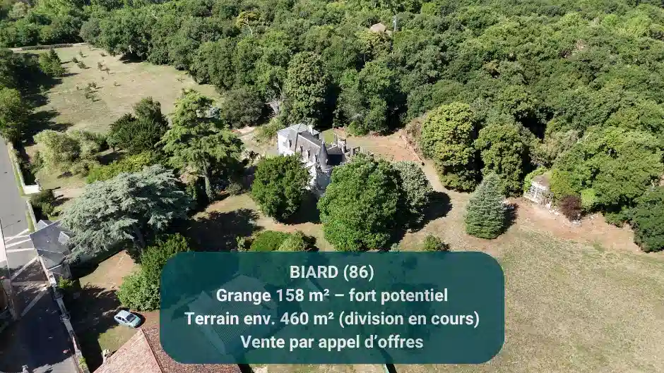 Image d'illustration